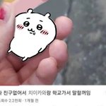 그냥인생을 귀여움으로 <b>승부</b>봣으면좋겟어