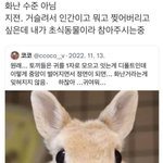 <b>토끼</b> 귀가 벌어지면 조심해야 하는 이유