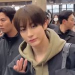 앤톤 <b>웜</b><b>톤</b>이네