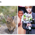 [방탄소년단] 외로운 <b>정원</b>에 핀 너를 닮은 꽃 주고싶었지