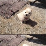 +)야들아 <b>힐링</b>하고 가