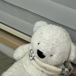 우리집<b>인형</b>인데