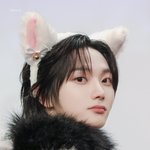[댓글부탁해] 보넥도 닮은꼴 정리