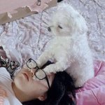 [드루와] 재수망한문과의고민........