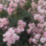 근데 확실히 남자랑 <b>여자</b> 보는 <b>눈</b> 다른듯