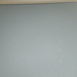 저희 <b>벽지</b>에 반점이 무엇일까요