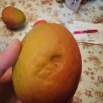 유명 온라인 과일 판매점 퀄리티 이거 맞음??