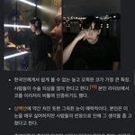 [드루와] 카이스트 공대생 나무<b>위키</b> 이거 뭐임