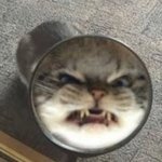 개구리