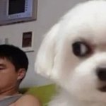 이제 <b>판도</b> 노잼이다