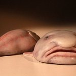 한국인이 왜 <b>싸가지</b> 없고 불친절 하는 이유가