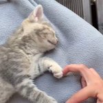 아 심심해 <b>뒤지</b>겄네