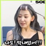 사쿠라 홍은채한테 결국 한마디 했네