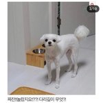 10<b>대판</b>에 30대는 왜 있는거냐