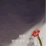 [댓글부탁해] 제목 : 방해 받지 말라.