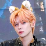 <b>이리</b> 와 나의 작은 아기 고양이