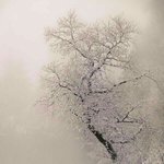 시인 김남열 / 겨울은