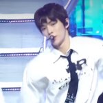 <b>성찬</b> 골든리트리버 같음