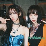 솔직히 <b>취향</b>차이지 둘 다 사랑해