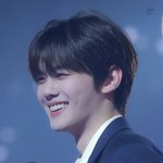 보고 있지만 또 보고