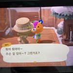 [드루와] 모동숲 <b>리셋</b>할건데