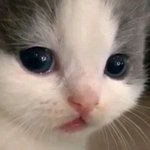 [드루와] 시골은 <b>명문</b>대가면 현수막 걸리는거 알음?ㅜ