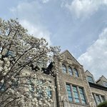 고대어문 이대<b>초교</b>