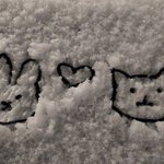 <b>미대</b>입시 할지말지 ㅈㄴ 고민되네….