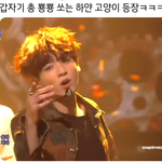 [방탄소년단] ㅋㅋㅋㅋ