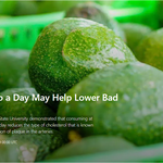 1일 1아보카도 해야하는 이유