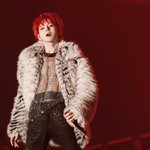 트레저 요시 퍼컬 염색덮머 맞는듯