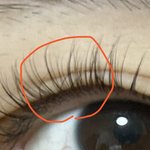 속눈썹 펌해본애들아 이거 왜이런거임