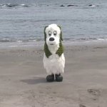 [댓글부탁해] 알바 <b>문자</b> 안오는데 어캄?