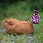 [드루와] <b>넘버</b>즈인 진짜 어케햇지..