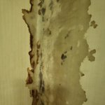 [방탈죄송] 벽에 <b>물</b>생기는 <b>이유</b>가 뭘까요?