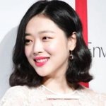유튜브에서 <b>울</b> <b>집</b> 강아지랑 개똑같은 강아지 발견