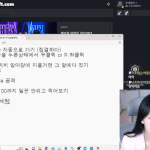 [스트리머] <b>티나</b>__(tina___)