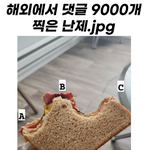 지금 <b>해외</b>에서 난리난 문제..;