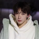 보플 장<b>슈</b>아이보 충격 근황