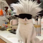 <b>새옷</b>에서 탄냄새 ㅈㄴ나는데