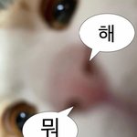 난 남자랑 잇을때나 안친하면