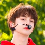 얼짱 강아지 두둥 등장! (남돌 <b>ver</b>.)