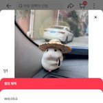<b>알리</b> 첨 사는데 이거 왜 이래