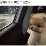 <b>요새</b> 고민이 많아...