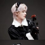 제베원 <b>리키</b>는 진짜 고양인듯
