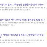국민<b>연금</b> 계쏙 낼 바에는