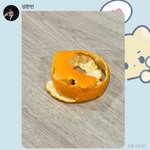 [모두드루와] 쎄하다는 카리나 성한빈