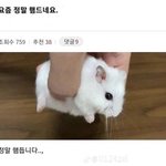 한남들 어이없는점