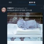 네 탐라 마지막 <b>트윗</b>