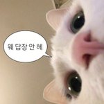 [댓글부탁해] 너네 머리감아도 가려운 애들 있음?